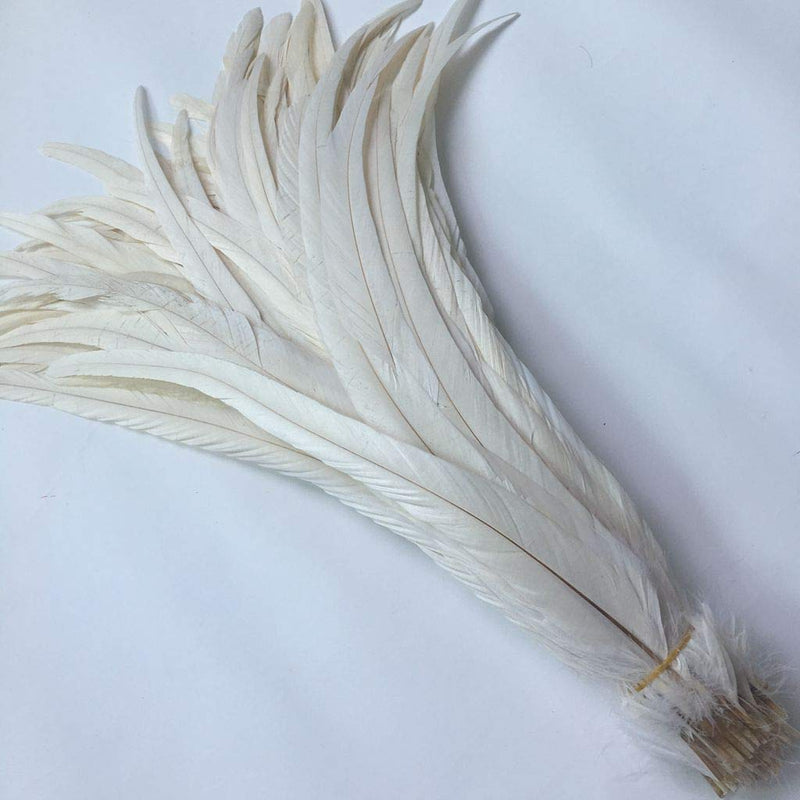 Shekyeon 12-14inch Rooster Tail Feather Used Hats Costume Decoration Pack of 50(Beige/Ivory) Beige/Ivory - NewNest Australia