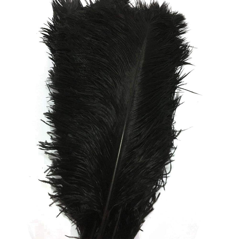 Lanpeed 10pcs Ostrich Feathers 18-20 inch (45-50cm) for Home Wedding Party Decoration (Black) Black - NewNest Australia