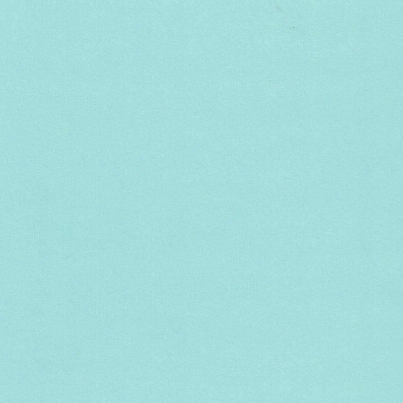 Berrylicious Blue Cardstock Paper - 12 X 12 Inch 65 Lb. Premium Cover - 25 Sheets from Cardstock Warehouse Berrylicious - NewNest Australia