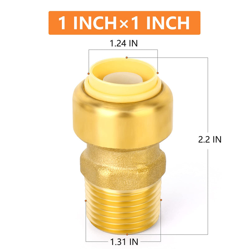 Gasher 2Pcs 1 Inch x 1 Inch MNPT Straight Connector Plumbing Fitting Tube Coupling Push-To-Connect Lead Free Brass, PEX Fittings with Disconnect Clip 1 Inch OD Female - NewNest Australia