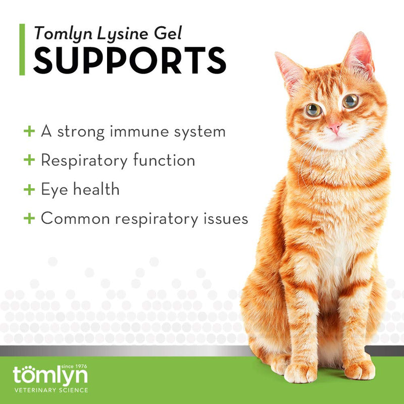 Tomlyn Immune Support Daily L-Lysine Supplement, Maple-Flavored Lysine Gel for Cats and Kittens, 3.5oz - NewNest Australia