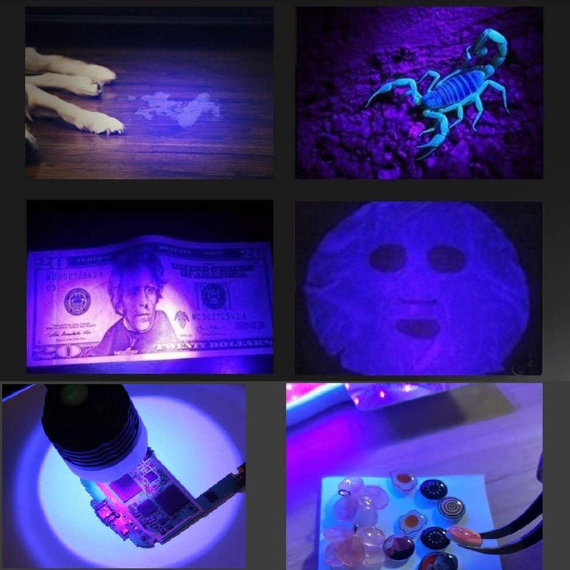 Upgraded Big Chip 395nm UV LED Black Light fixtures with Gooseneck and clamp for UV Gel Nail and Ultraviolet Curing, Portable Ultra Violet Blacklight 5V USB Input (Black 2W) - NewNest Australia