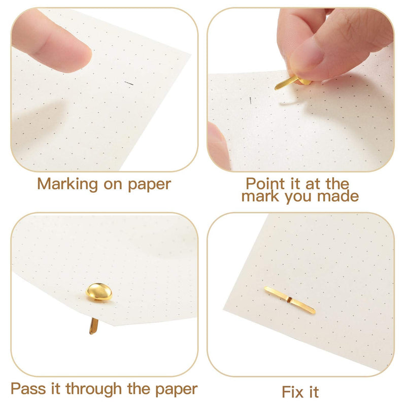 500 Pieces Paper Fasteners Brads Round Fasteners with White Paper Box for Art Crafting School Project Decorative Scrapbooking DIY Supplies (Golden,0.3 x 0.6 Inch) Golden 0.3 x 0.6 Inch - NewNest Australia