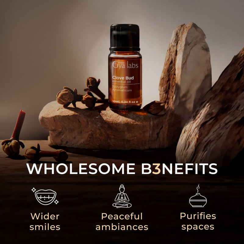 Gya Labs Clove Oil for Oral Care. Natural Clove Essential Oil for Oral discomfort. - Clove Oil Essential Oil - Clove Oil for Hair, Skin, Teeth, and Gums. (10 ml) 10 ml (Pack of 1) - NewNest Australia