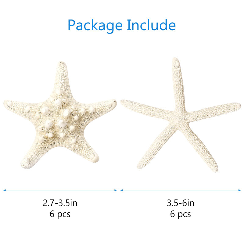Maicodes 12 PCS Starfish | 2.5-6 Inch Starfish Decor | Natural Bulk Starfish Shells Perfect for Crafts Making Beach Theme Party Wedding Decoration, Home Wall Decor, Christmas Ornaments, Fish Tank - NewNest Australia