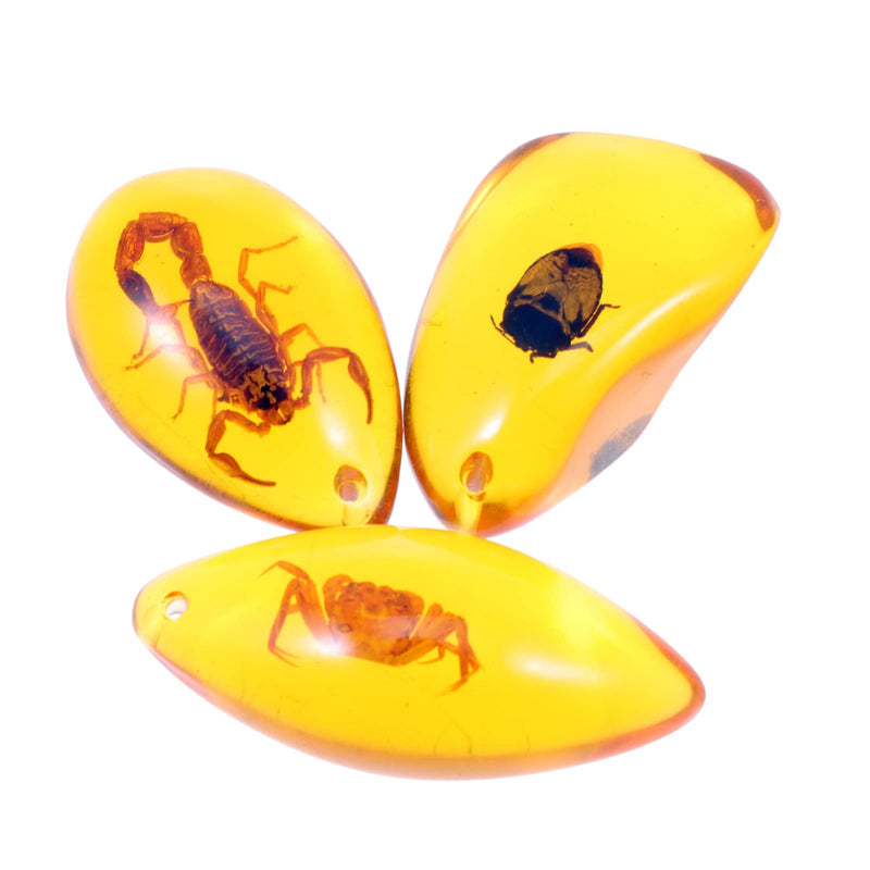 ULTNICE 3pcs Amber Insect Specimens Pendants Amber Fossil Insect Artificial Amber Insect Specimen Pendant Scorpions Insects Amber Stone Ornament for Necklace - NewNest Australia