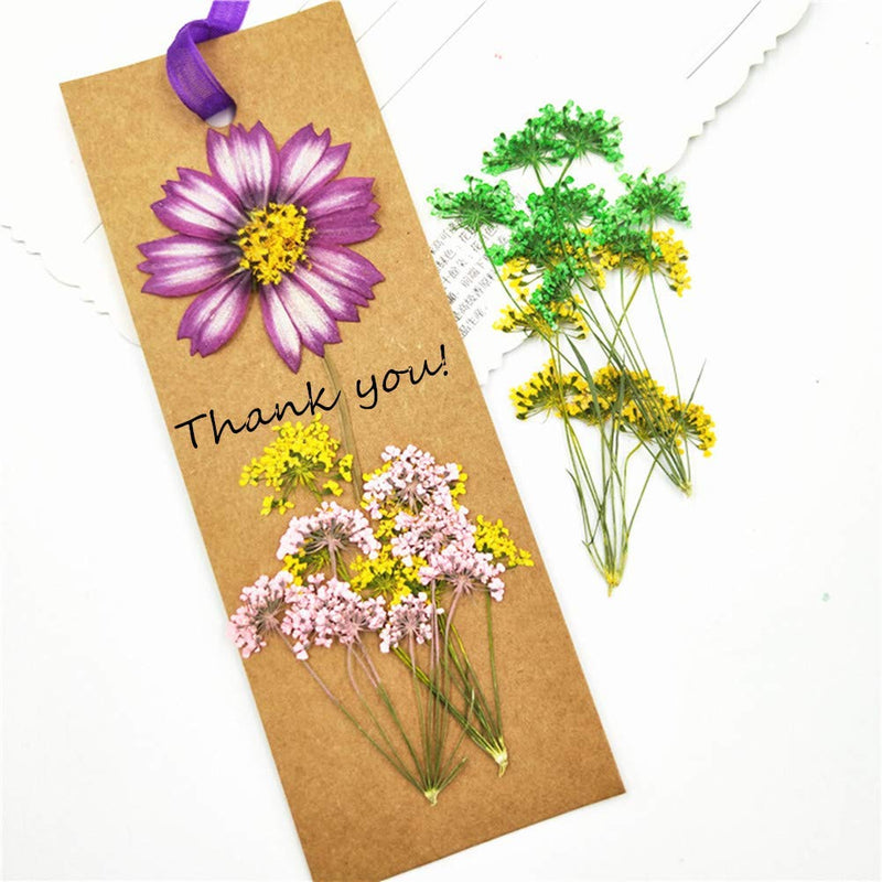 6pcs Tiny Natural Real Pressed Dried Flower for DIY Craft Jewelry Making Handmade Resin Ornament (Multi) Multi - NewNest Australia