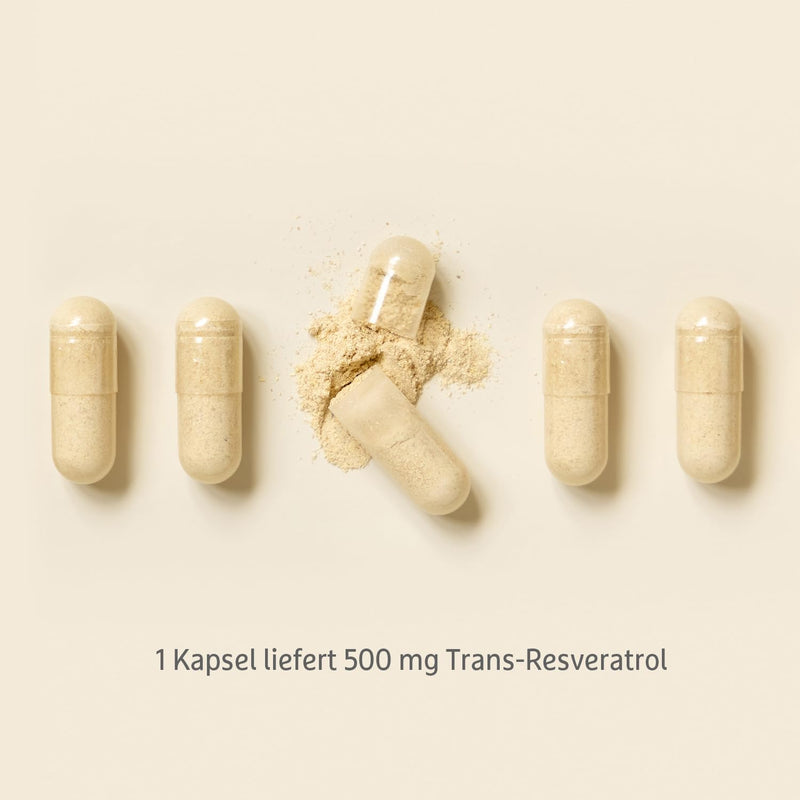 Resveratrol high dose with 500 mg trans-resveratrol - 60 capsules - natural plant extract from knotweed - vegan and without additives - NewNest Australia
