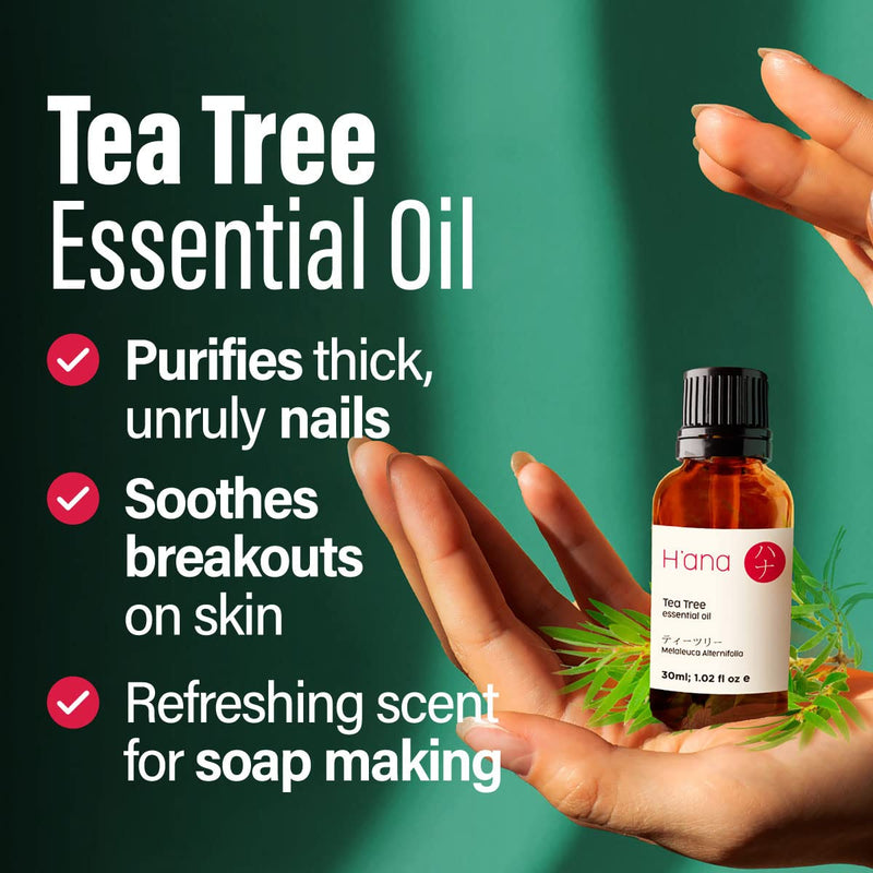 H'Ana Pure Australian Tea Tree Oil For Skin, Hair, Face And Toenails (30Ml) - 100% Therapeutic Natural Melaleuca Tea Tree Oil For Piercings, Scalp And Hair Growth - NewNest Australia