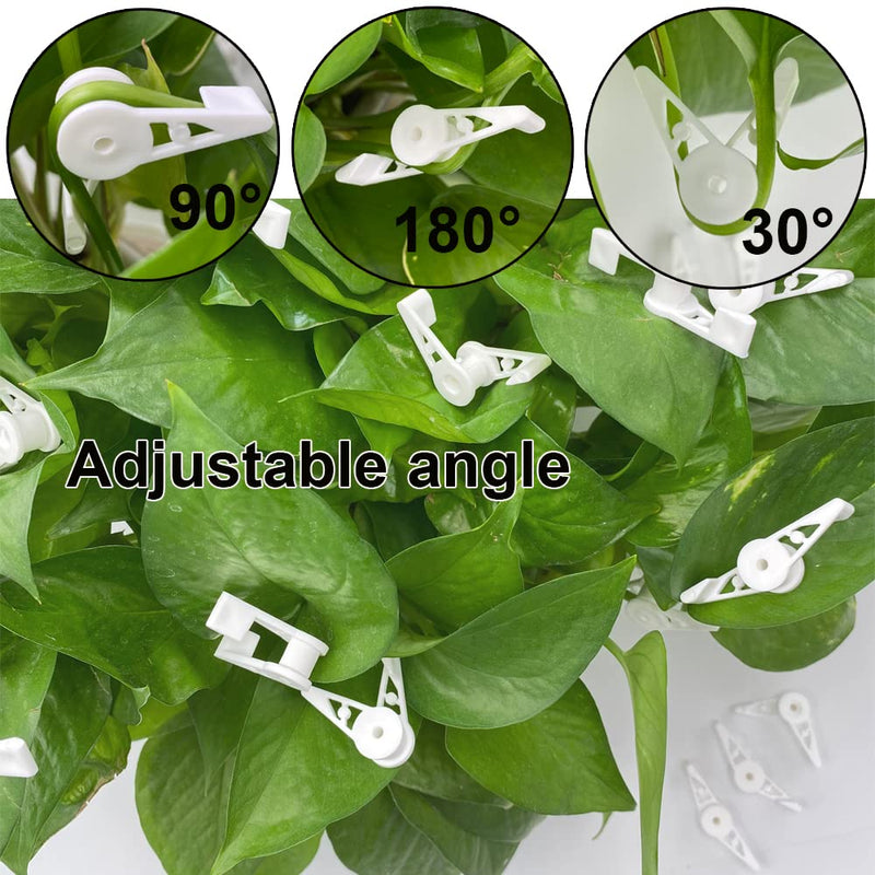 YUESHUO 360 Degree 30 Pcs Plant Trainer Clips, Adjustable Plant Stem Trainer Clips, Adjustable Plant Branches Bender Clips for Plant Low Stress Training Control of Plants. Apply to Wide Range. - NewNest Australia