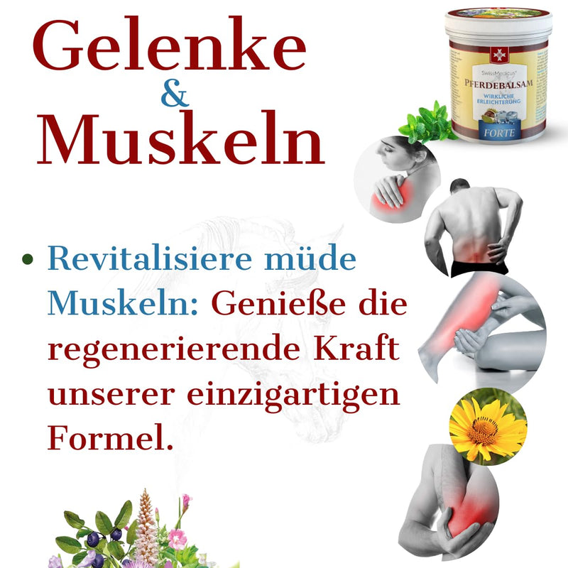 Swissmedicus Horse Balm Massage Gel With 25 Herbal Extracts (Comfrey, Horse Chestnut, Arnica, Eucalyptus) Noticeable Relief During Massage For Muscles, Joints, Back Cooling Extra Strong 250Ml 250.00 Ml (Pack Of 1) - NewNest Australia