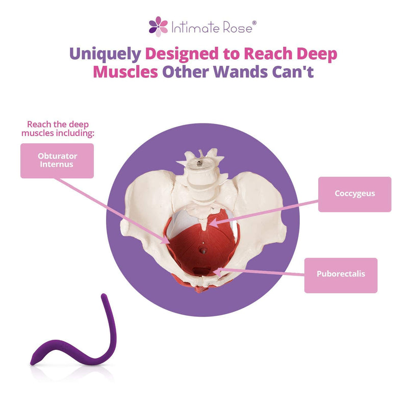 Intimate Rose Pelvic Wand Trigger Point & Tender Point Release for Pelvic Floor Muscles - Men & Women - Pelvic Physical Therapy Use - NewNest Australia