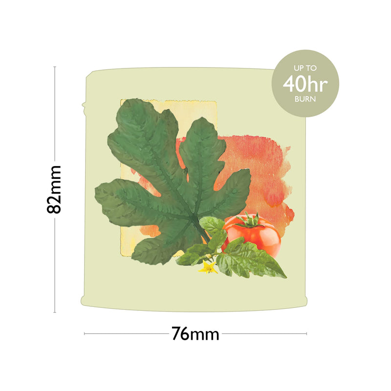 Ethos Naturals Premium Scented Natural Wax Tin Candle - Tomato Vine Scent - Hand-Poured in UK - Burn Time 40+ Hours - Non-Toxic & Natural for Less Smoke & Slow Burn - NewNest Australia