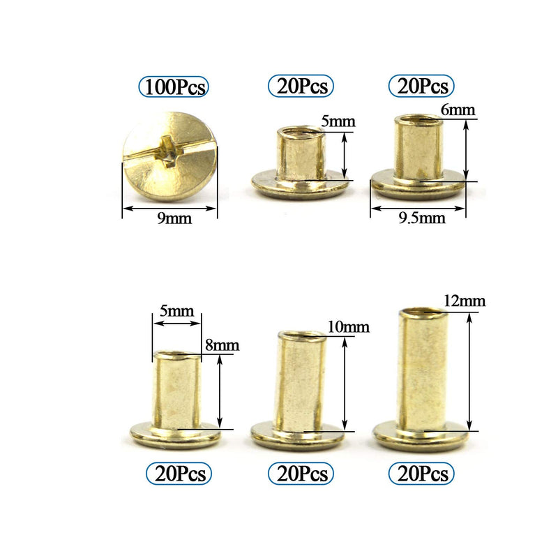 Chicago Screws Assorted Kit Golden Leather Rivets Screw Rivets Slotted Phillip Head Book Binding Posts Nail Rivet Chicago Bolts for DIY Leather Craft Bookbinding (Goldene 5x5,6,8,10,12) Goldene 5x5,6,8,10,12 - NewNest Australia