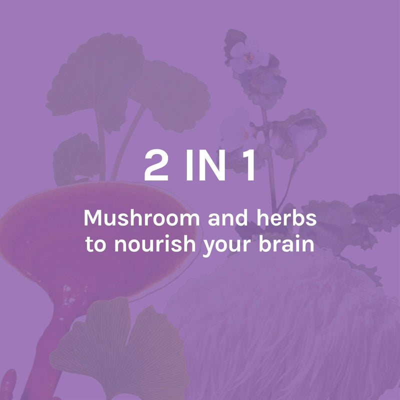 Host Defense, MycoBotanicals Brain, Promotes Concentration, Memory and Cognitive Functioning, Daily Mushroom and Herb Supplement, Vegan, Organic, 60 Capsules (30 Servings) Standard Packaging - NewNest Australia