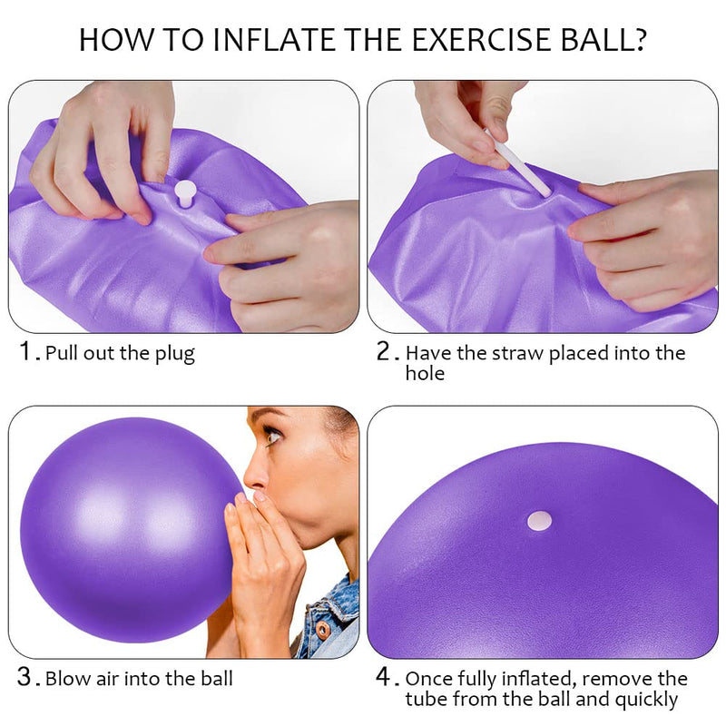 flintronic Mini Pilates Ball, Small Anti Burst Exercise Ball for Yoga, Pilates, Balance, Physical Therapy, Stretching and Core Fitness - Includes Stability Ball Workout Guide Purple - NewNest Australia