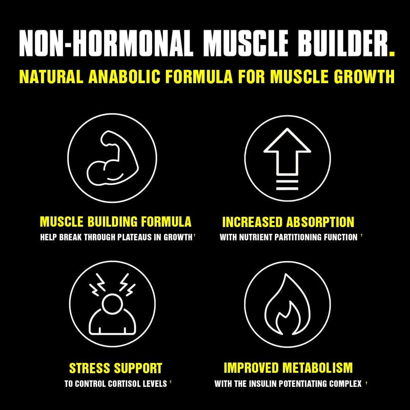 Universal Nutrition Animal M-Stak, Supports Muscle Building, Suitable For Hardgainers, Mass Gainer For Weight Gain, Strength Training, Dietary Supplements, 21 Packs + 2 Packs Free - NewNest Australia
