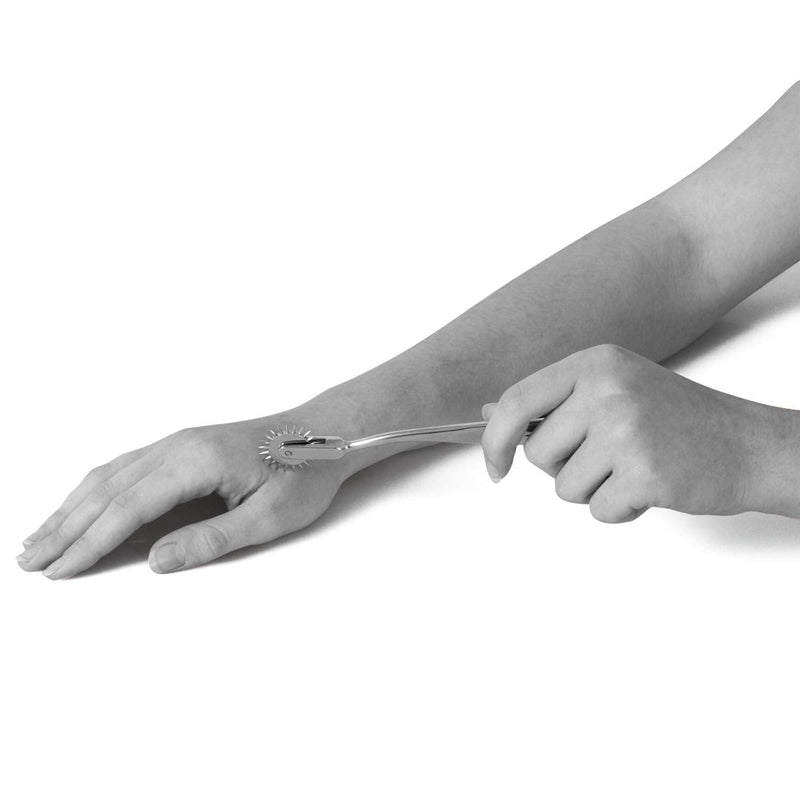Nerve wheel serrated wheel according to Wartenberg made of stainless steel approx. 17 cm - NewNest Australia