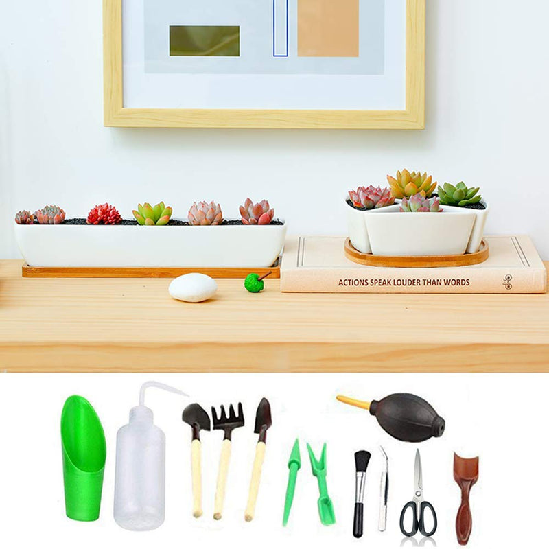 godehone 13PCS Succulent Tools Set, Mini Garden Hand Tools Set for Indoor Miniature Fairy Garden Plant Care - NewNest Australia