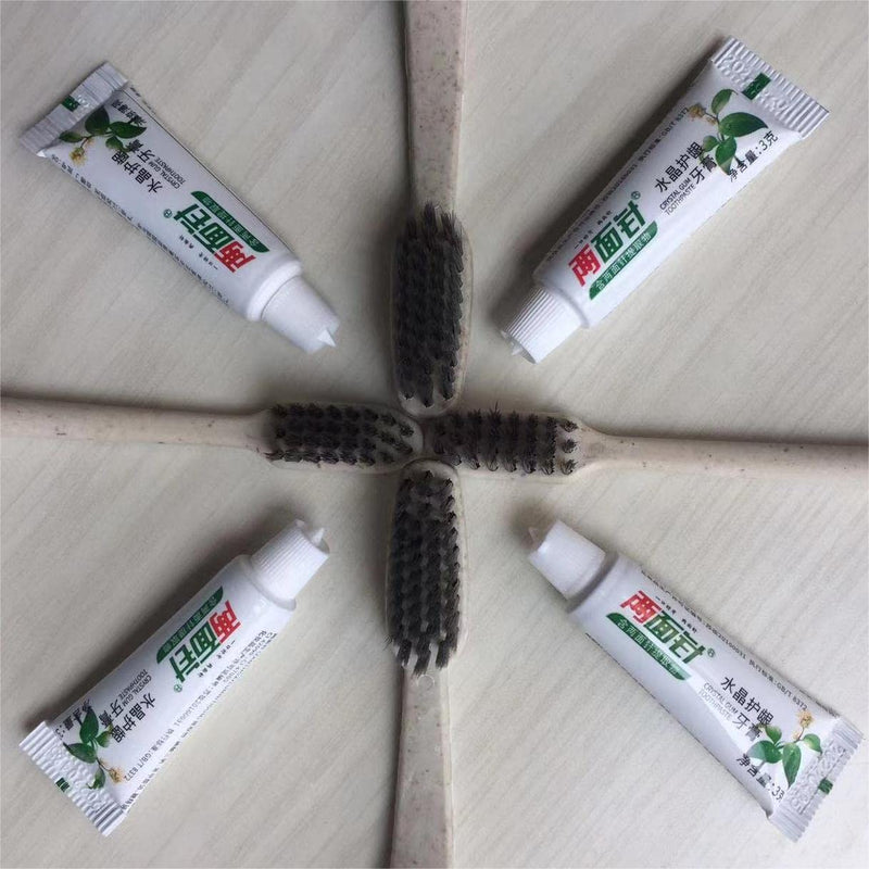 Disposable Toothbrushes, Manual Toothbrush, 20 Set Of Sustainable & Disposable Toothbrushes With Toothpaste Set, Biodegradable, Vegan & Bpa Free, Individually Packaged, Round Toothbrush Handle. 20/R - NewNest Australia