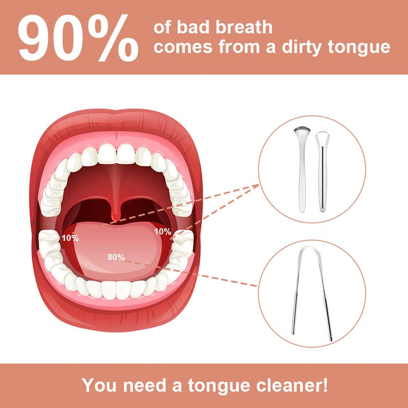 Acwoo Tongue Cleaner, 3 Pieces Tongue Scraper Stainless Steel Set, Silver Tounge Crapper For Adults Oral Care, Tongue Scraper Against Bad Breath Tongue Brush Heals Bad Breath (U-Shape+Open+Spoon) - NewNest Australia