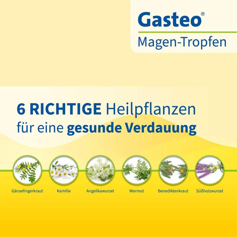 Gasteo stomach drops with 6 unique gastrointestinal medicinal plants. That helps, that works, you can feel that. 20ml 20ml (pack of 1) - NewNest Australia