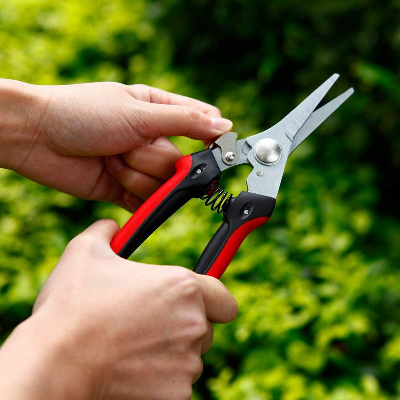 The Gardener's Friend Pruning Snips, Lightweight and Small Pruners for Light Gardening, Great for Deadheading Flowers and Pruning Light Wood Ergonomically Designed for Smaller Hands - NewNest Australia