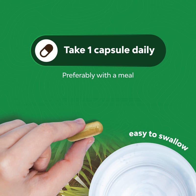 Saw Palmetto Capsules for Hair Loss - Saw Palmetto for Women and Men Hair Vitamins for Faster Hair Growth and Healthy Hair Supplement - Saw Palmetto Prostate Supplement for Prostate Health - NewNest Australia