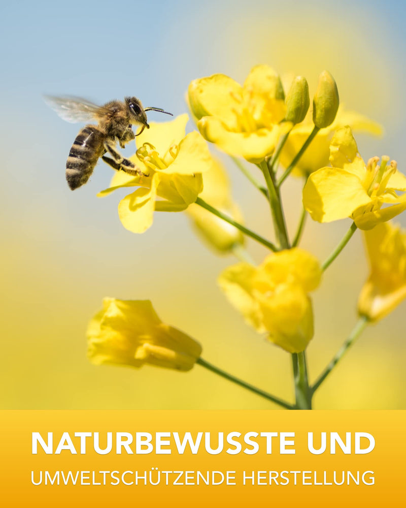 Nordbienchen Propolis Tincture With 30% Propolis From Our Own Beekeeping - 50 Ml Propolis Drops Bee Propolis Extract - Propolis Tincture - Beekeeper Quality 50 Ml (Pack Of 1) - NewNest Australia
