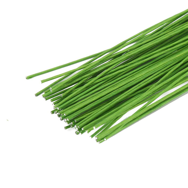 Decora 24 Gauge Green Floral Wire Green Paper-Wrapped Floral Stem Wires for Crafts 16 inch,50/Package - NewNest Australia