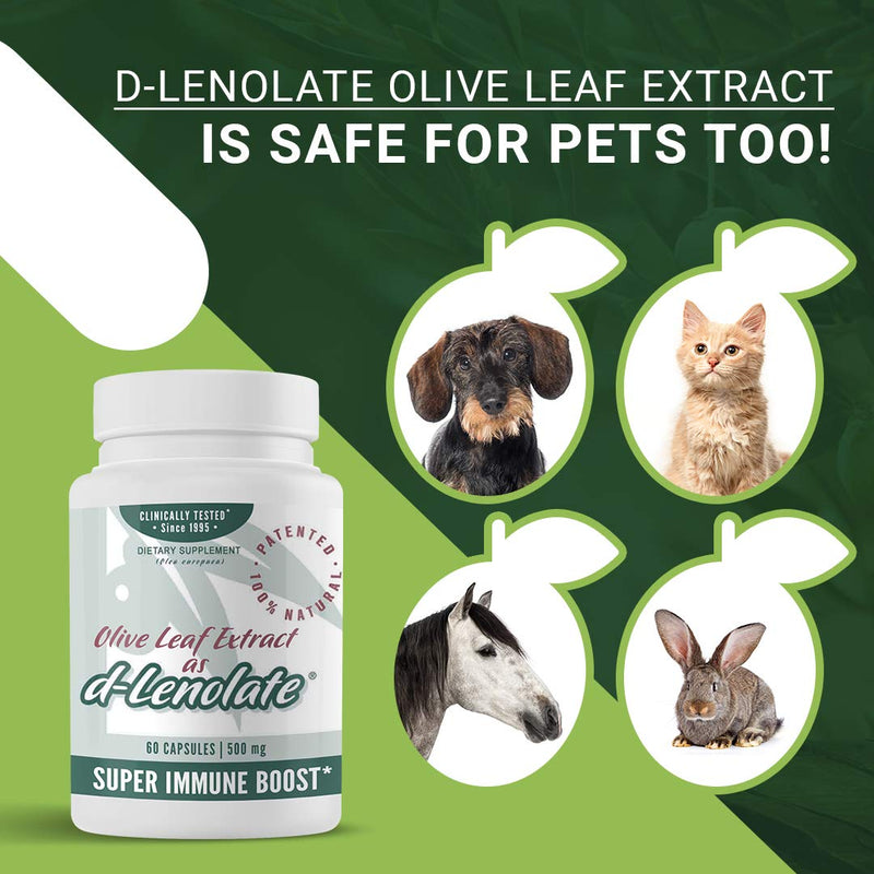 East Park Olive Leaf Extract (OLE) Super Strength d-Lenolate 500mg | 18% or More Oleuropein Immune System Booster | 60 Vegetarian Capsules (Non-GMO) - NewNest Australia