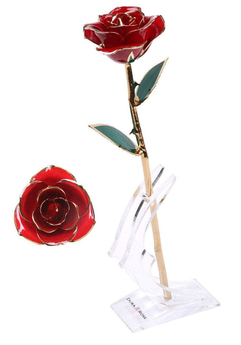 NewNest Australia - Lovingmei 24k Gold Long Stem Strim Rose Display Stand - Clear 