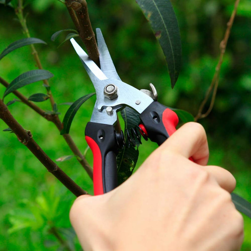 The Gardener's Friend Pruning Snips, Lightweight and Small Pruners for Light Gardening, Great for Deadheading Flowers and Pruning Light Wood Ergonomically Designed for Smaller Hands - NewNest Australia