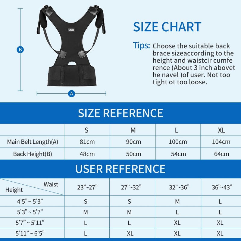 Back Brace, Lumbar Shoulder Posture Corrector for Upper and Lower Back, Spinal Support for Women and Men, Adjustable Neoprene Belt Strap for Relief Back Pain (Large) L (Pack of 1) - NewNest Australia