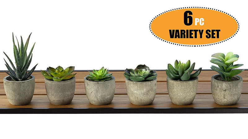 NewNest Australia - 6 Pots Small Artificial Succulent Plants Mini Fake Faux Suculentas Pot For Shelf Kitchen Counter Office Decor Tiny Miniature Desk Plant Succulents Decoration Accessories Potted Plastic Cactus Aloe Green Succulents Without Box 