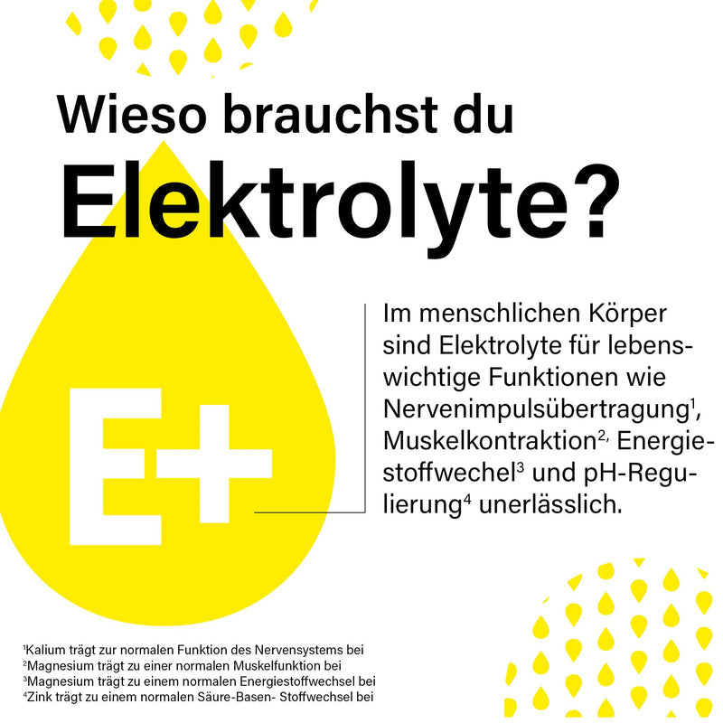ELECTROLYTES+ | 20 sticks | supports electrolyte balance* | with magnesium, zinc, B5, potassium | Citrus fruit flavor | vegan - NewNest Australia