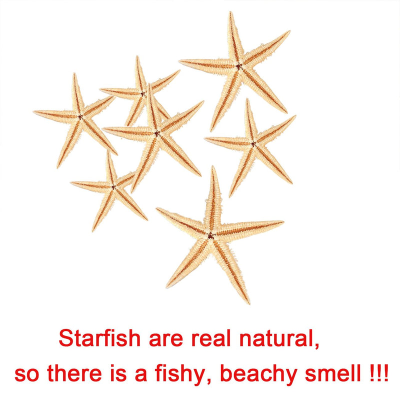 Ogrmar Small Starfish Star Sea Shell Beach Craft 0.4"-1.2" 90 Pcs - NewNest Australia