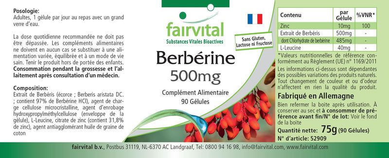 Fairvital | Berberine 500mg - HIGH DOSE - Berberine HCl + Zinc - Berberis aristata - VEGAN - 90 capsules - NewNest Australia