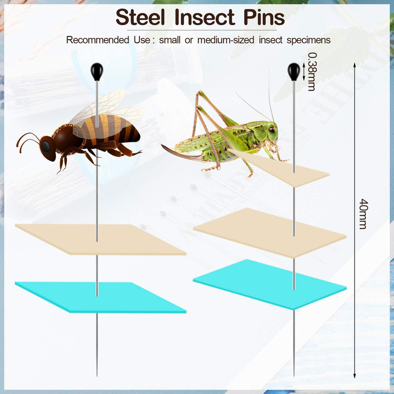 Stainless Steel Insect Pins Specimen Pins Entomology Pins Dissection and Butterfly Collections Needle for School Lab Entomology Dissection Butterfly Collectors (500 Pieces,Size 2) Size 2 500 - NewNest Australia