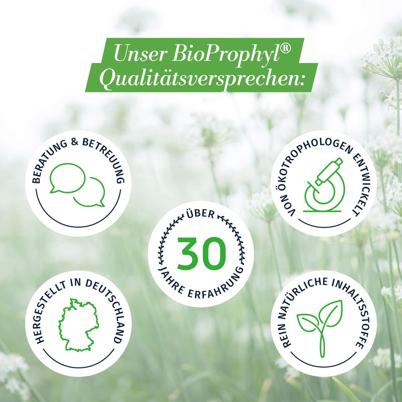 BioProphyl® Macro-Immune - 500 mg Beta Glucan Yestimun® with vitamin C and zinc to support the immune system - 60 capsules for 1-2 months - NewNest Australia