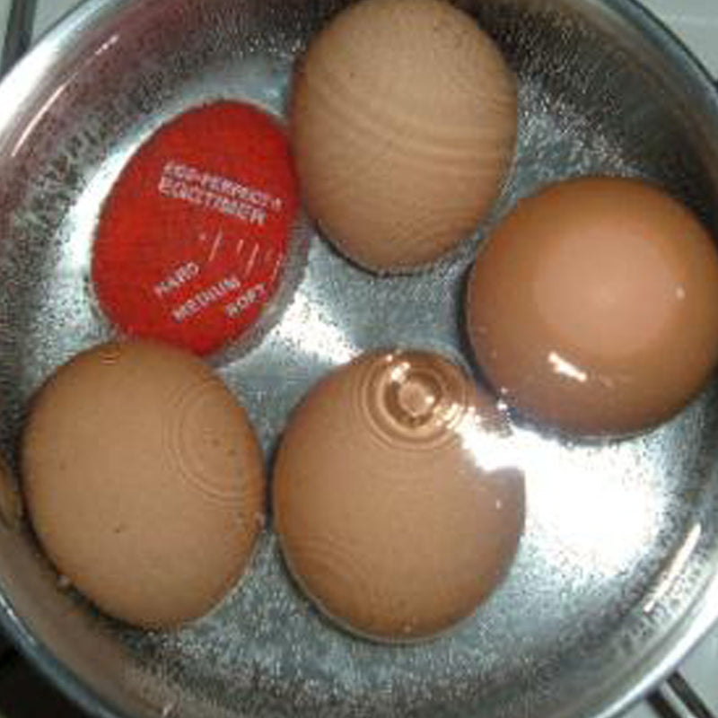 NewNest Australia - Norpro Egg Perfect Egg Timer 1 One Size 