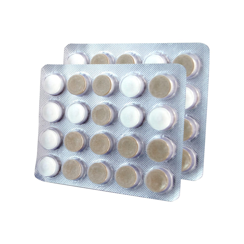 Orahealth XyliMelts Mint-Free Discs - 40 discs, Pack of 3 - NewNest Australia