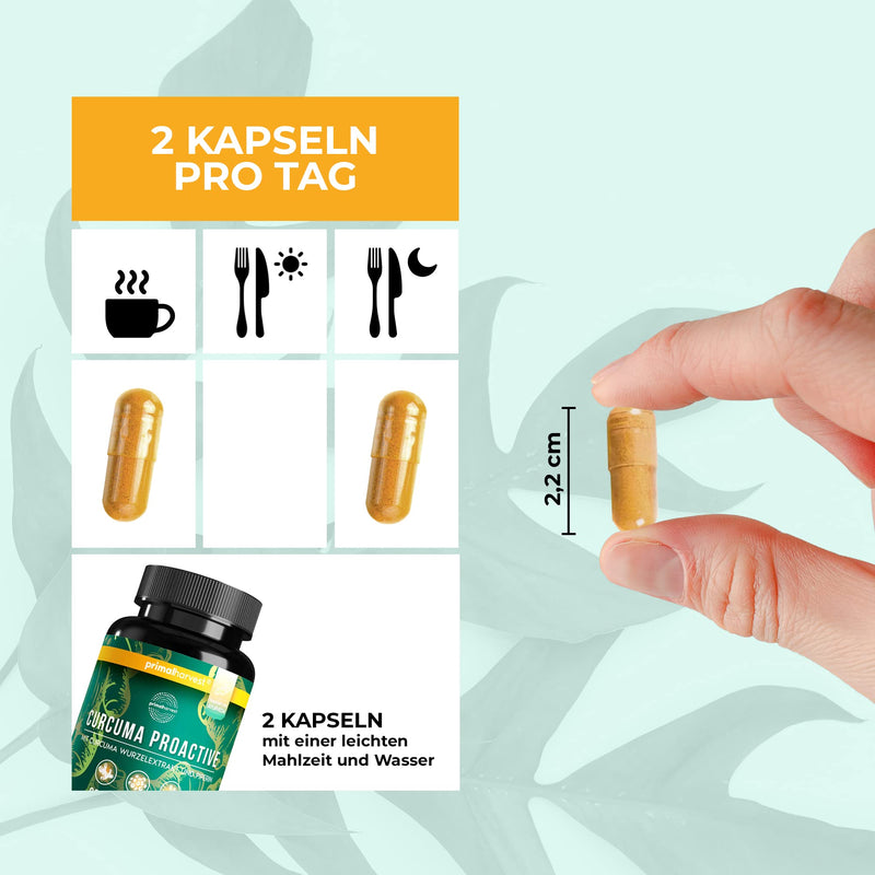 Primal Harvest Curcuma Proactiv - 60 Curcuma Capsules - Curcuma Extract - Organic Curcuma Powder With Bioperine - Turmeric Capsules - 95% Curcumioids - Laboratory Tested Regular - NewNest Australia