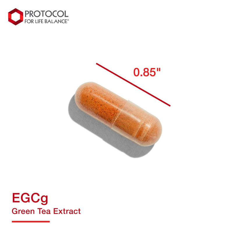 Protocol EGCg Green Tea Extract 200mg - Oxidative Stress Quencher, Cellular Health - 90 Veg Caps - NewNest Australia