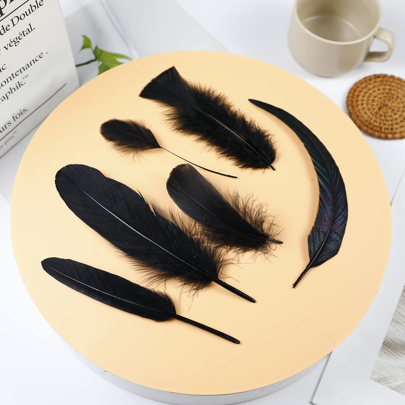 Larryhot Black Craft Feathers Bulk - 240pcs 6 Style Mixed Natural Feathers for Wedding Home Party, Dream Catcher Supplies and DIY Crafts (Black) - NewNest Australia