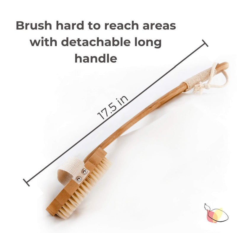 Dry Brushing Body Brush for Rejuvenating Skin – Back Scrubber for Shower – Stimulate Lymphatic Drainage and Minimize Cellulite – 100% Natural Boar Bristles with Detachable Handle – Exfoliating Brush - NewNest Australia