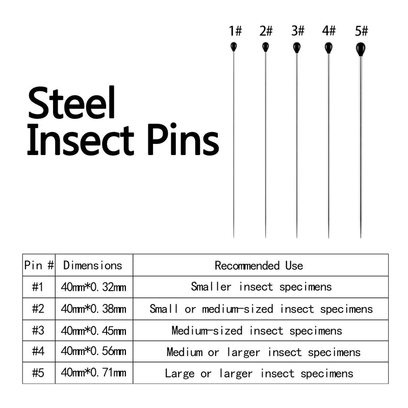 Stainless Steel Insect Pins Specimen Pins Entomology Pins Dissection and Butterfly Collections Needle for School Lab Entomology Dissection Butterfly Collectors (500 Pieces, 5 Sizes) 500 - NewNest Australia