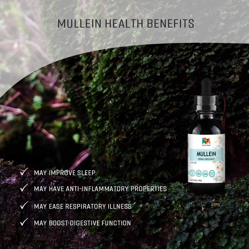 Maui Herbs Mullein Leaf Liquid Extract - Lung Detox & Respiratory Cleanse Drops - Digestive System, Natural Sleep Aid & Immune Support Tincture - Organic Lung Health Herbal Supplements, 2 fl oz. 2 Fl Oz (Pack of 1) - NewNest Australia