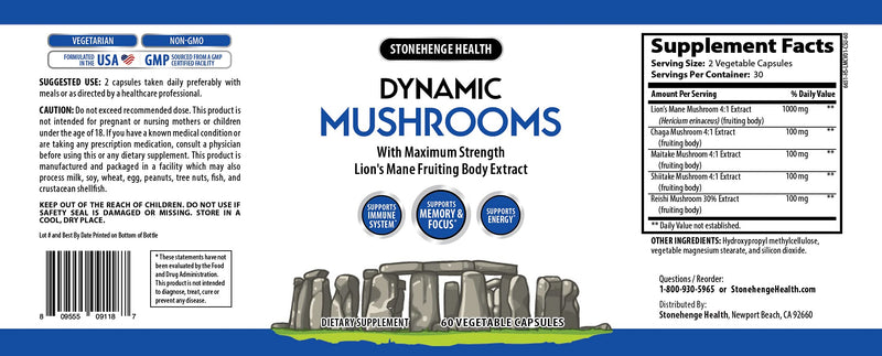 Stonehenge Health Dynamic Mushrooms - 100% Fruiting Bodies & Extracts - Lion’s Mane, Chaga, Maitake, Shiitake, Reishi - Nootropic Brain & Focus, Immune System Booster - No Mycelium -60 Veggie Capsules - NewNest Australia