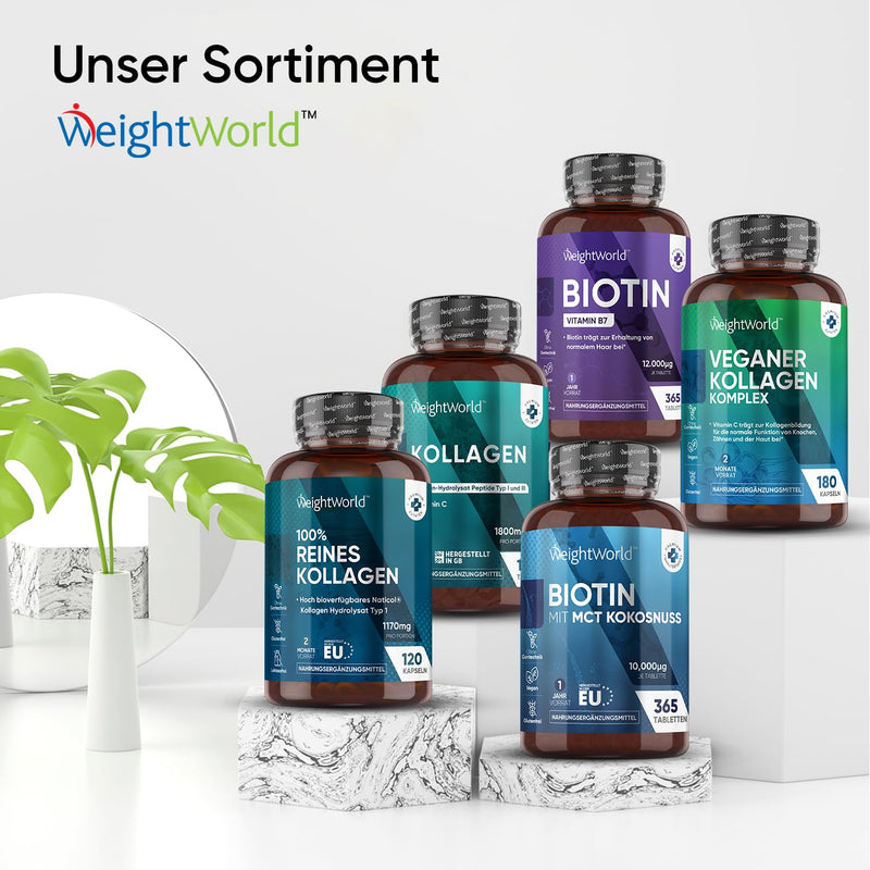 Biotin tablets - 12,000μg pure biotin for hair, skin and beard growth - 1 year supply with 365 vegan tablets - Vitamin B7 - Tested D-biotin (vitamin H) for women and men - From WeightWorld - NewNest Australia